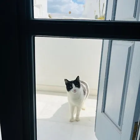 Bonatsa Naxos City